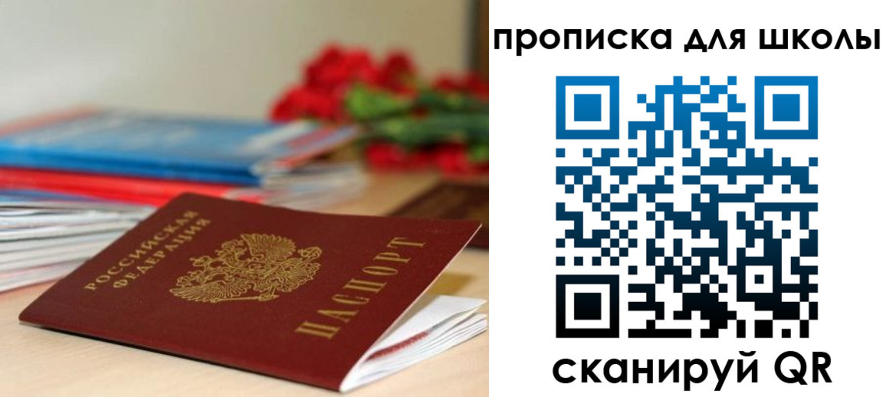 прописка в Лесном